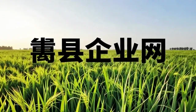 提升企业黄页查询效率的实用建议